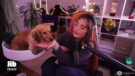 سگ یک استریمر در Marvel Rivals وایرال شد؛ حرکت بامزه‌ای که همه را سوپرایز کرد